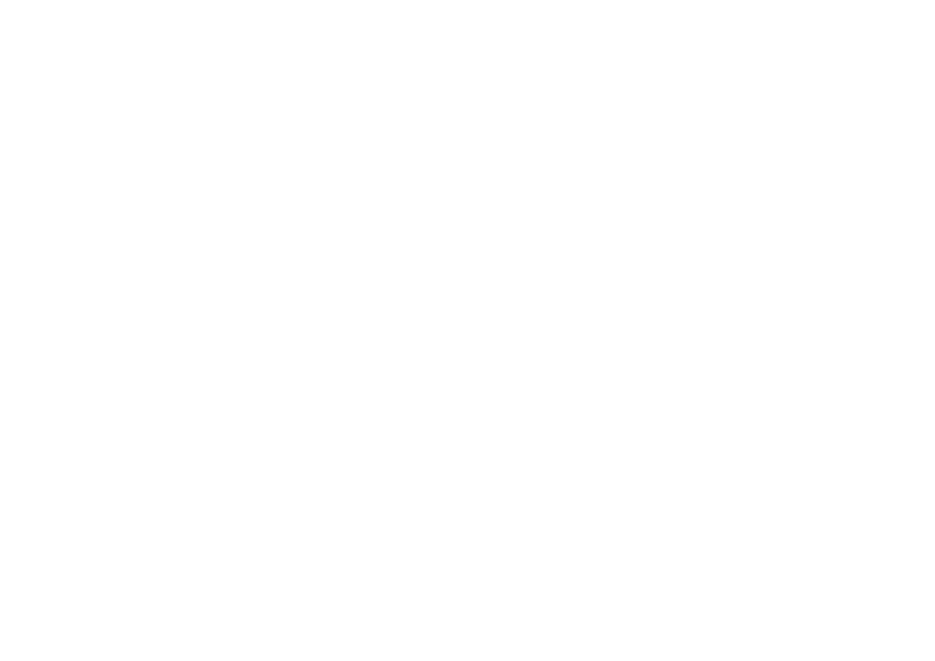 Sellerie Fiorani